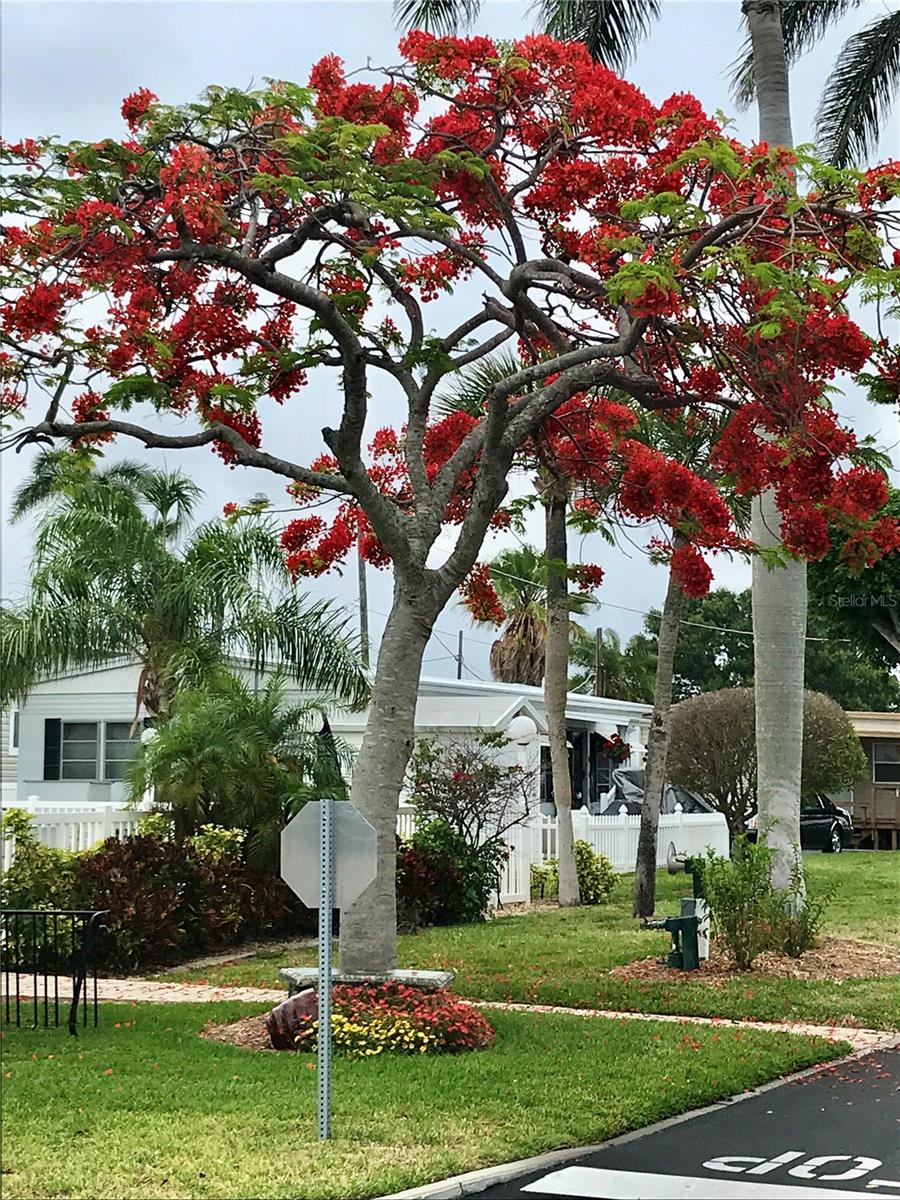Photo 6 of 3710 GULF OF MEXICO DR #G26