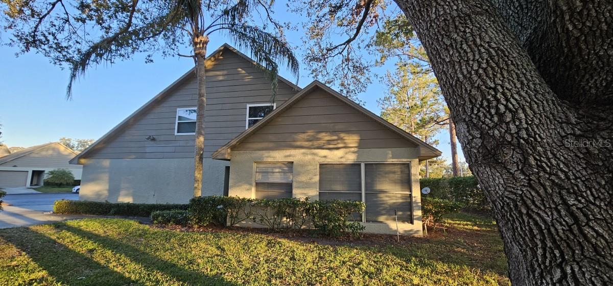 Photo of 3401 ROCHELLE CT #131 in CLEARWATER, FL