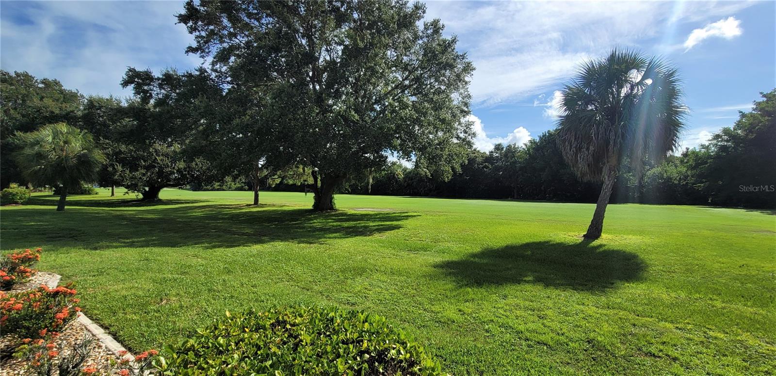 Photo 3 of 26311 SEMINOLE LAKES BLVD