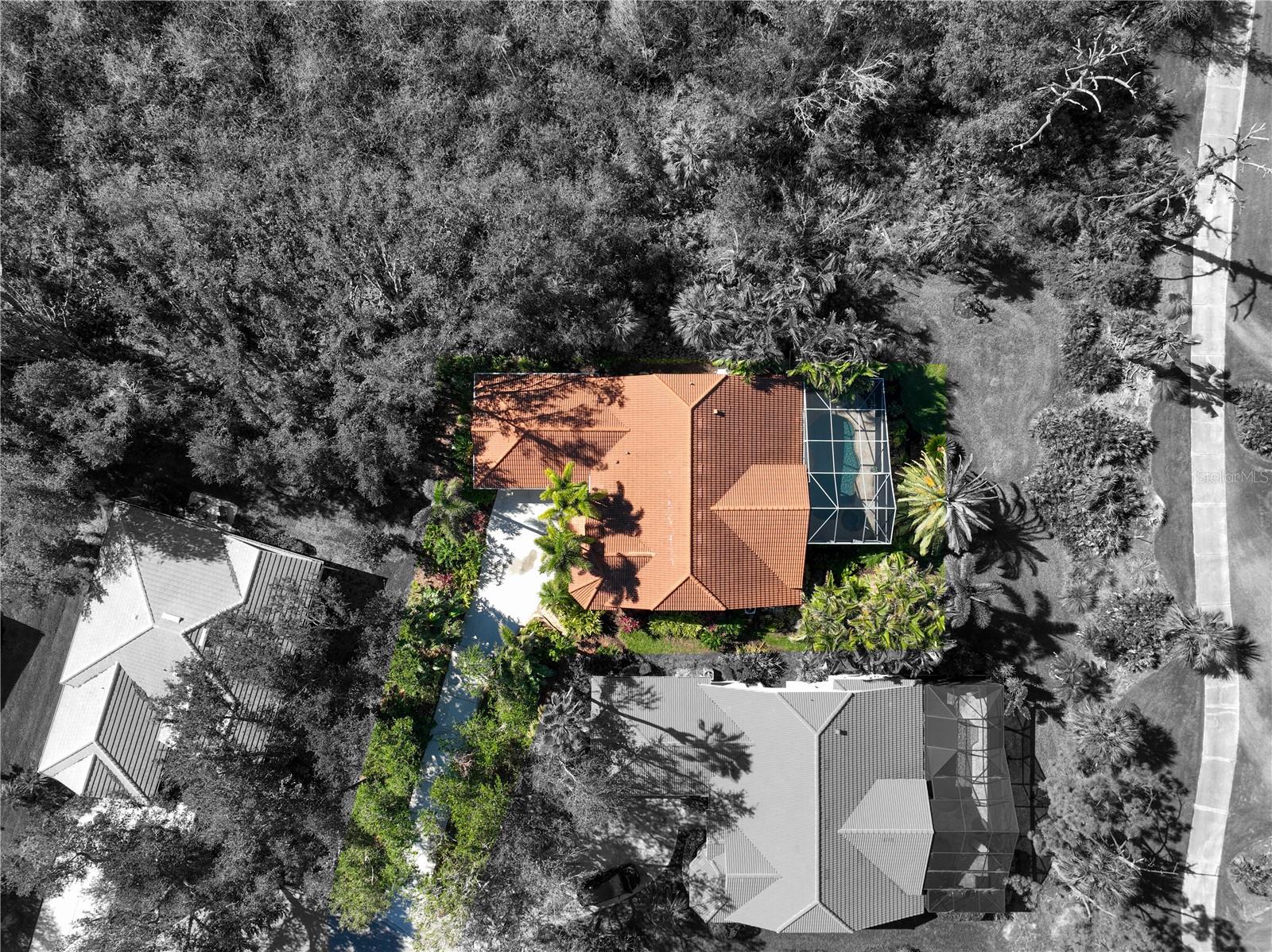 Photo 5 of 3117 SILKWOOD LN