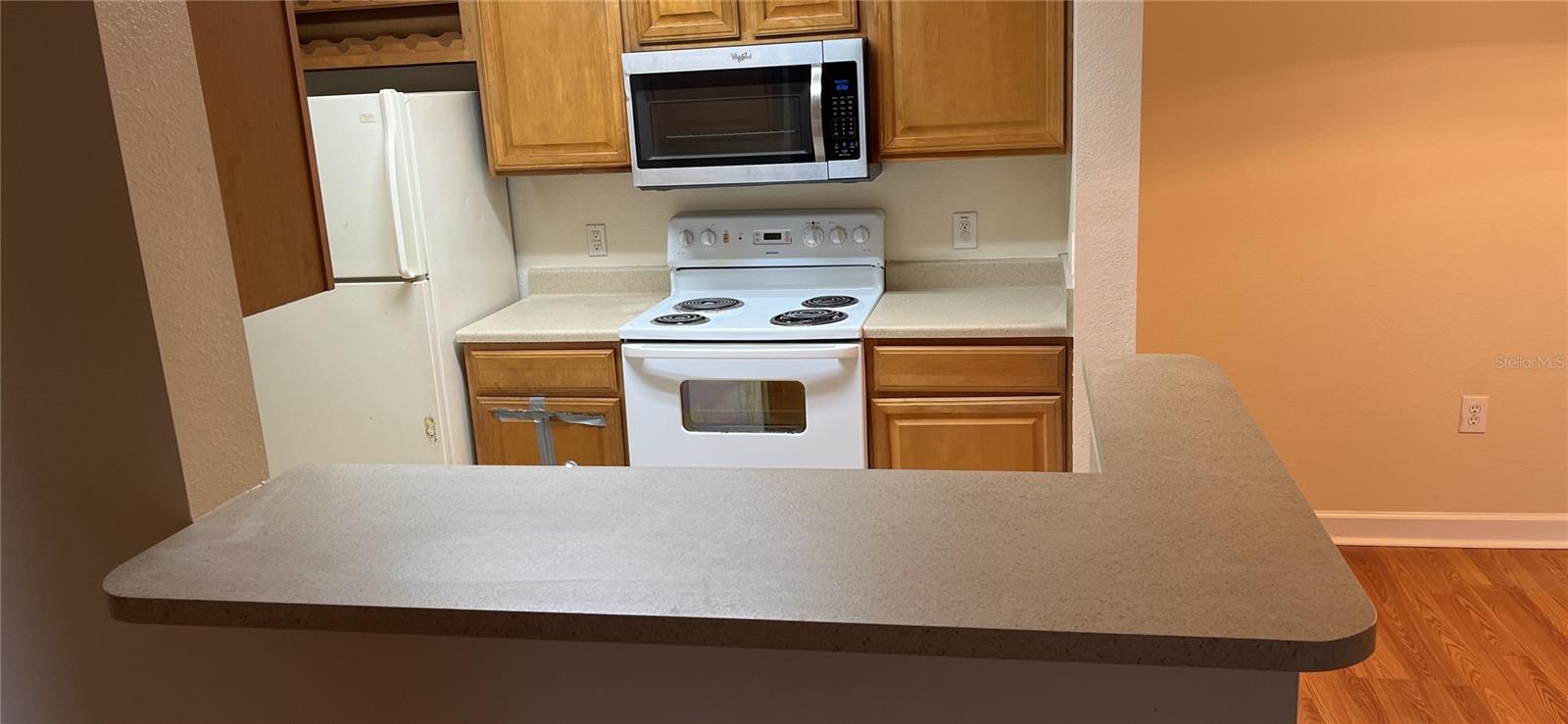 Photo 3 of 18167 BRIDLE CLUB DR #18167