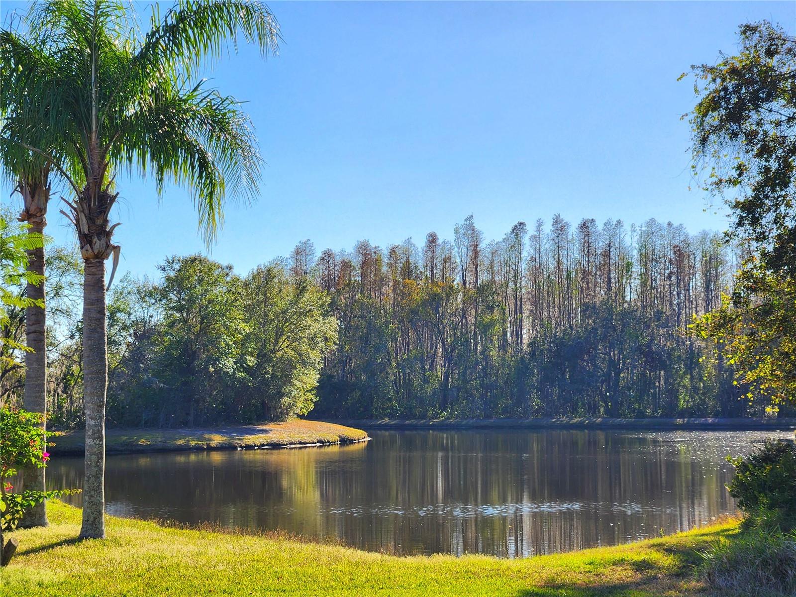 Photo 2 of 30923 BURLEIGH DR