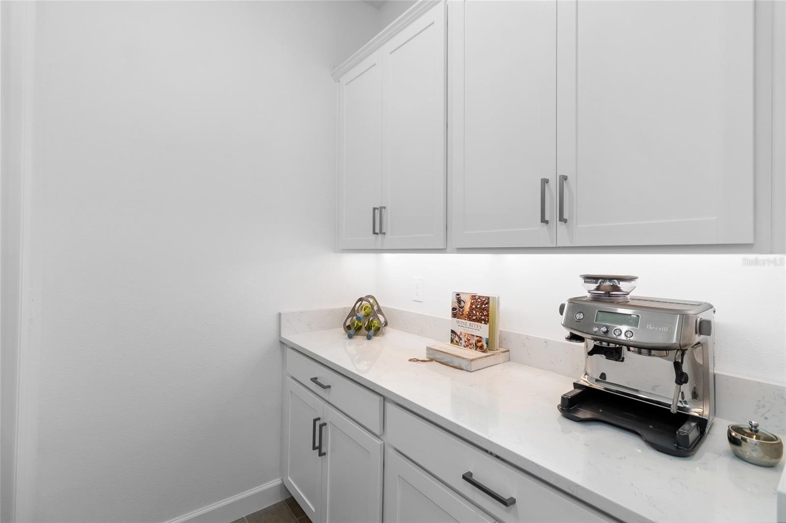 Photo 4 of 10864 BANYAN BREEZE BLVD