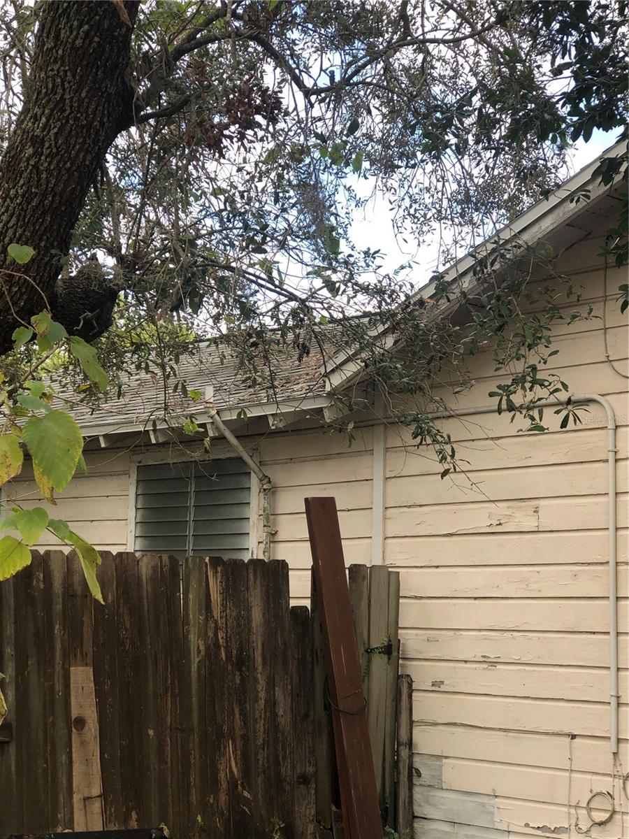 Photo 5 of 1820 E SITKA ST