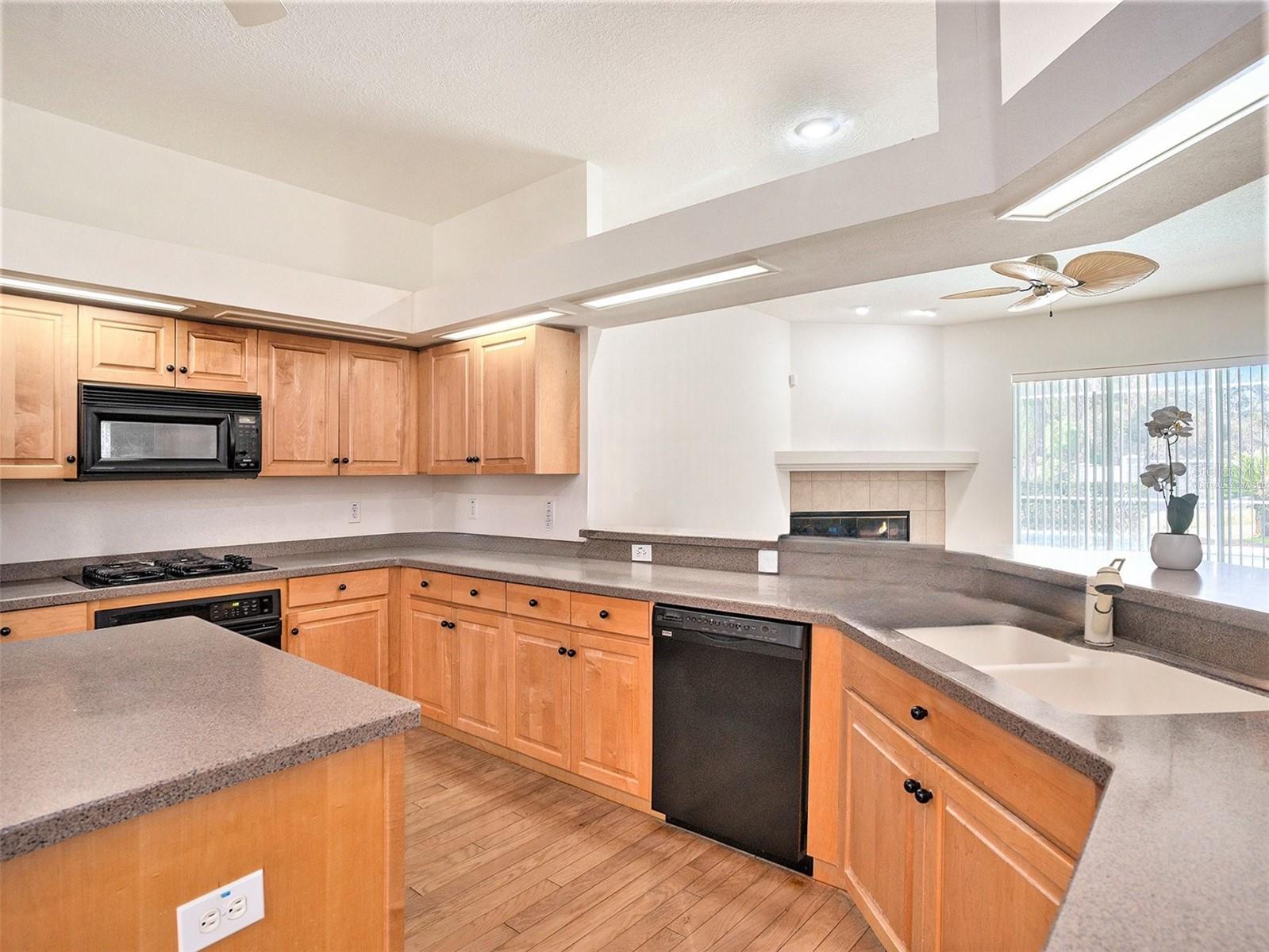 Photo 6 of 1545 DEERBOURNE DR