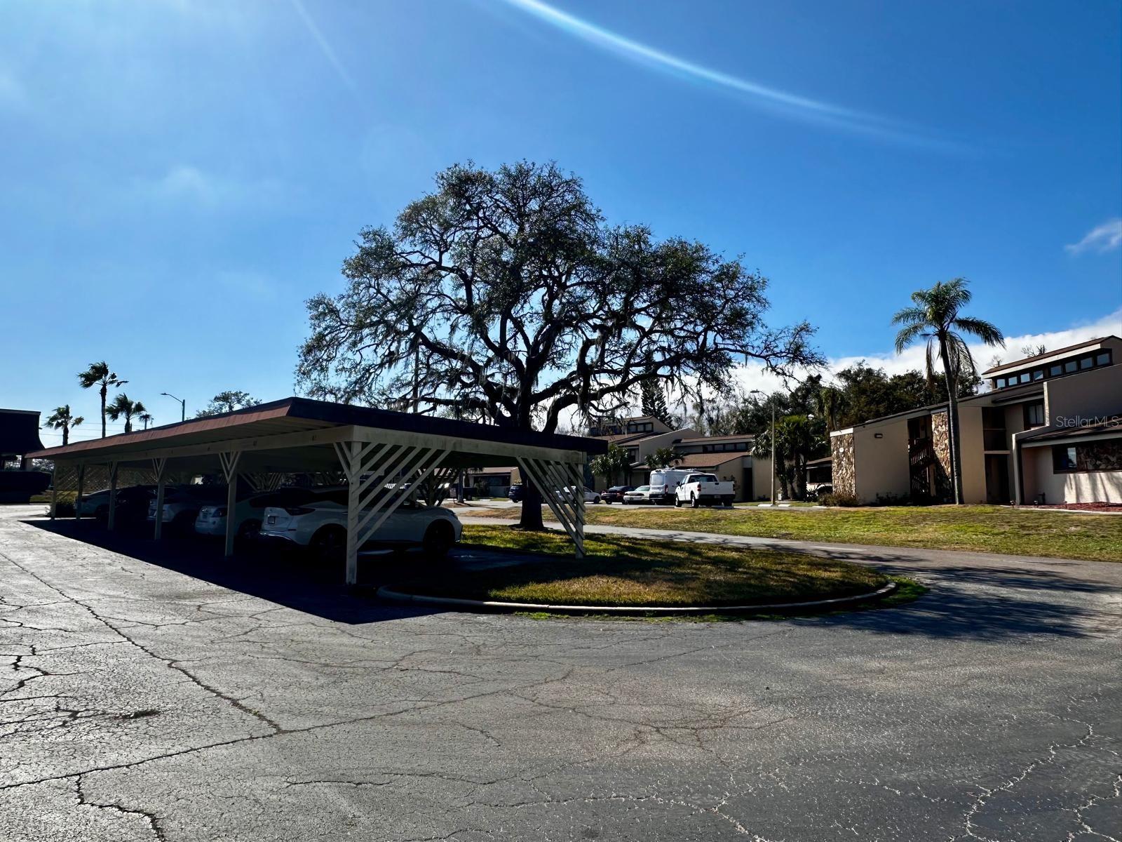 Photo 3 of 7040 COGNAC DR #1