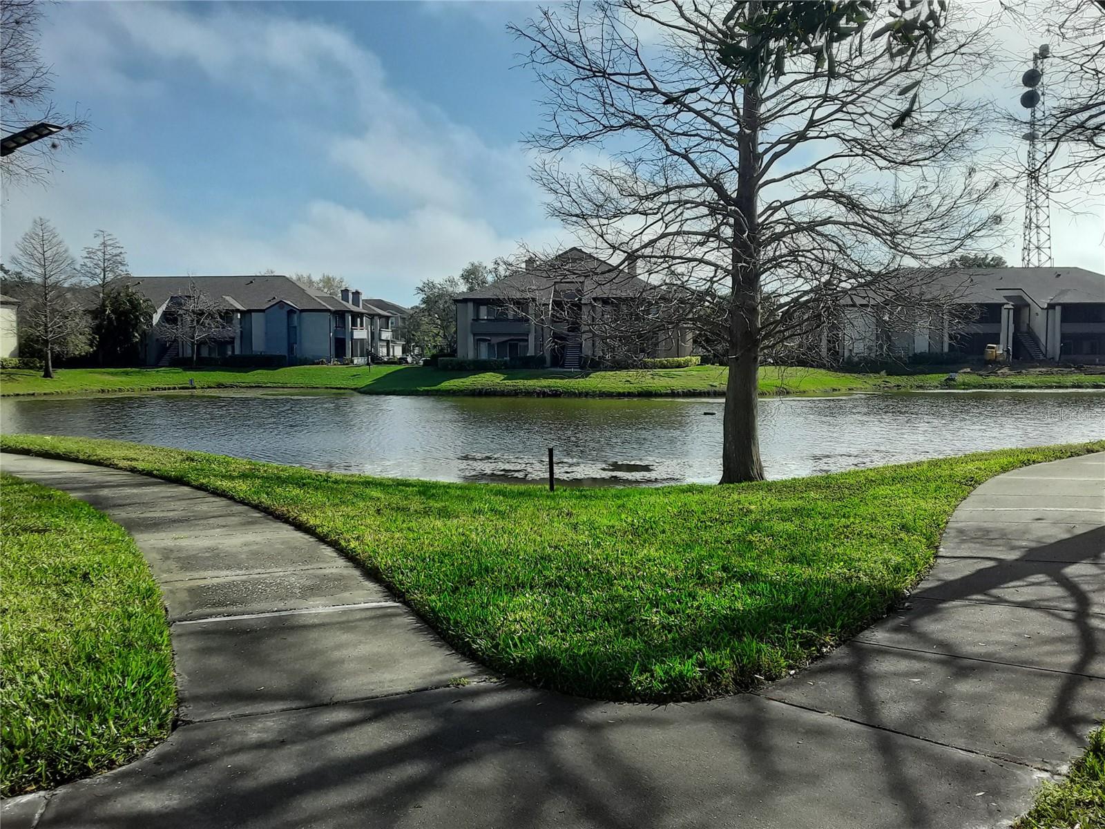Photo 4 of 10265 GANDY BLVD N #1806