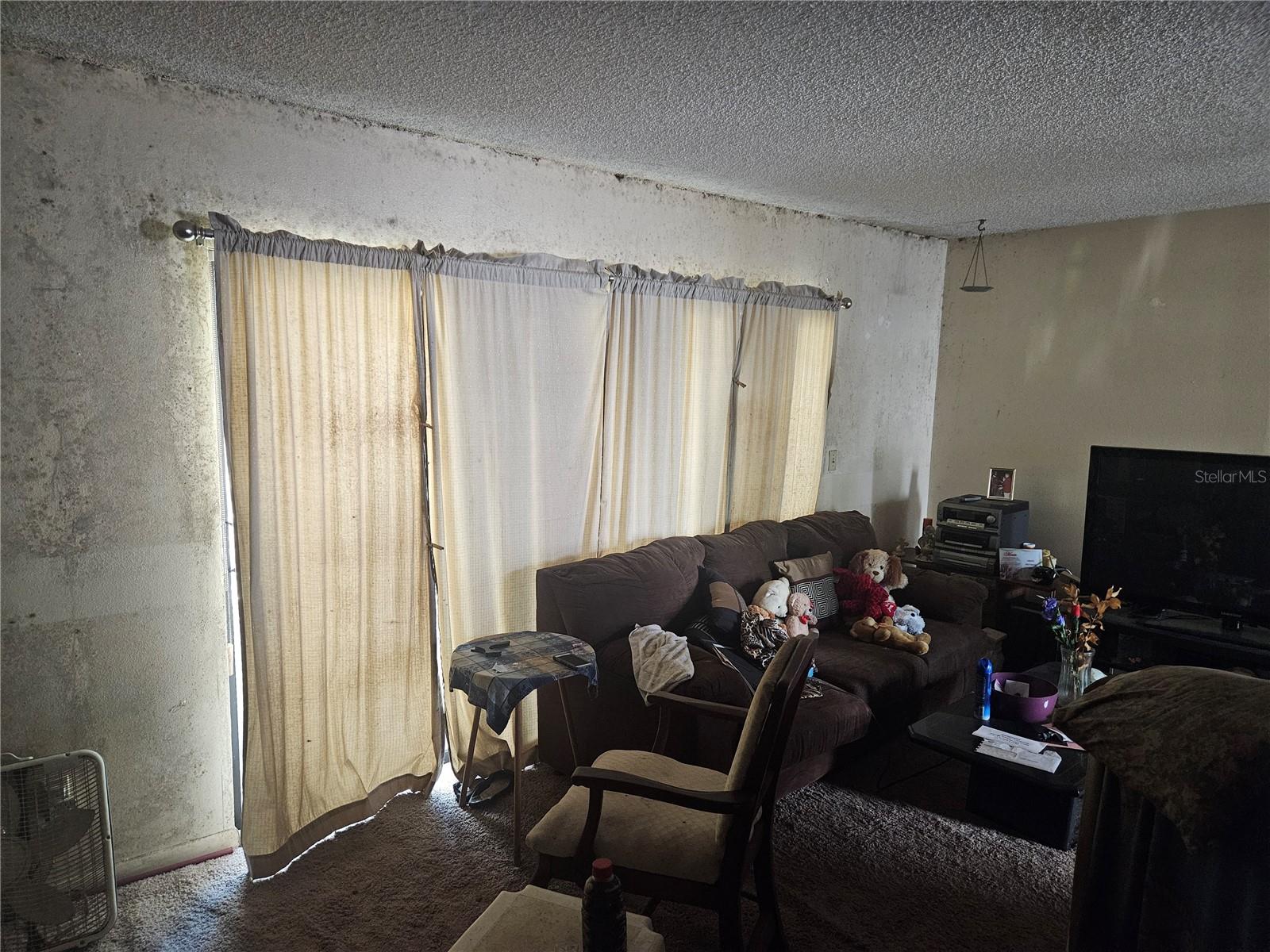 Photo 3 of 4909 PURITAN CIR #2202