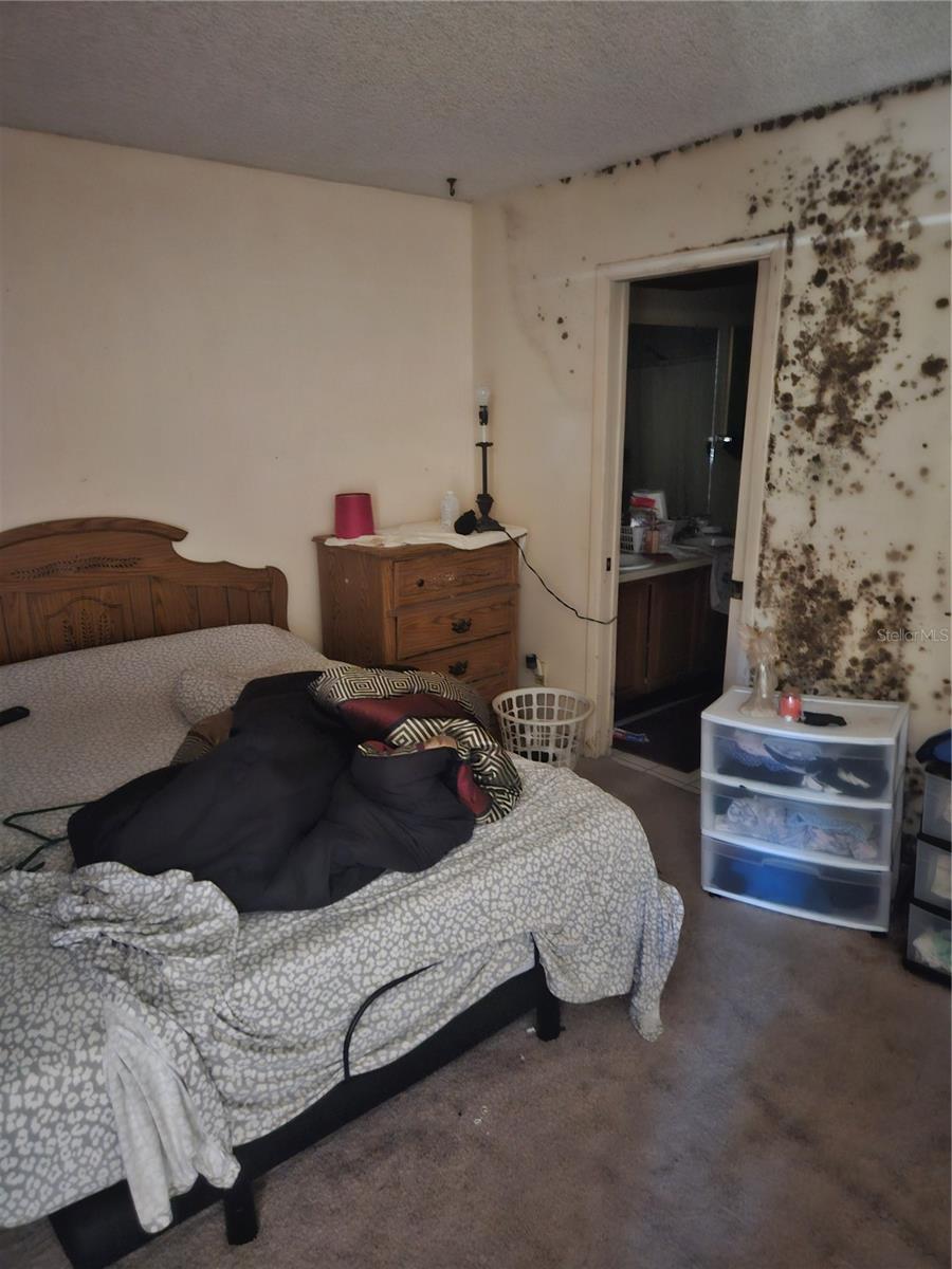 Photo 5 of 4909 PURITAN CIR #2202