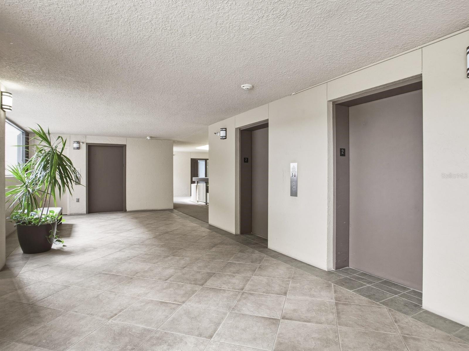 Photo 4 of 2413 BAYSHORE BLVD #201