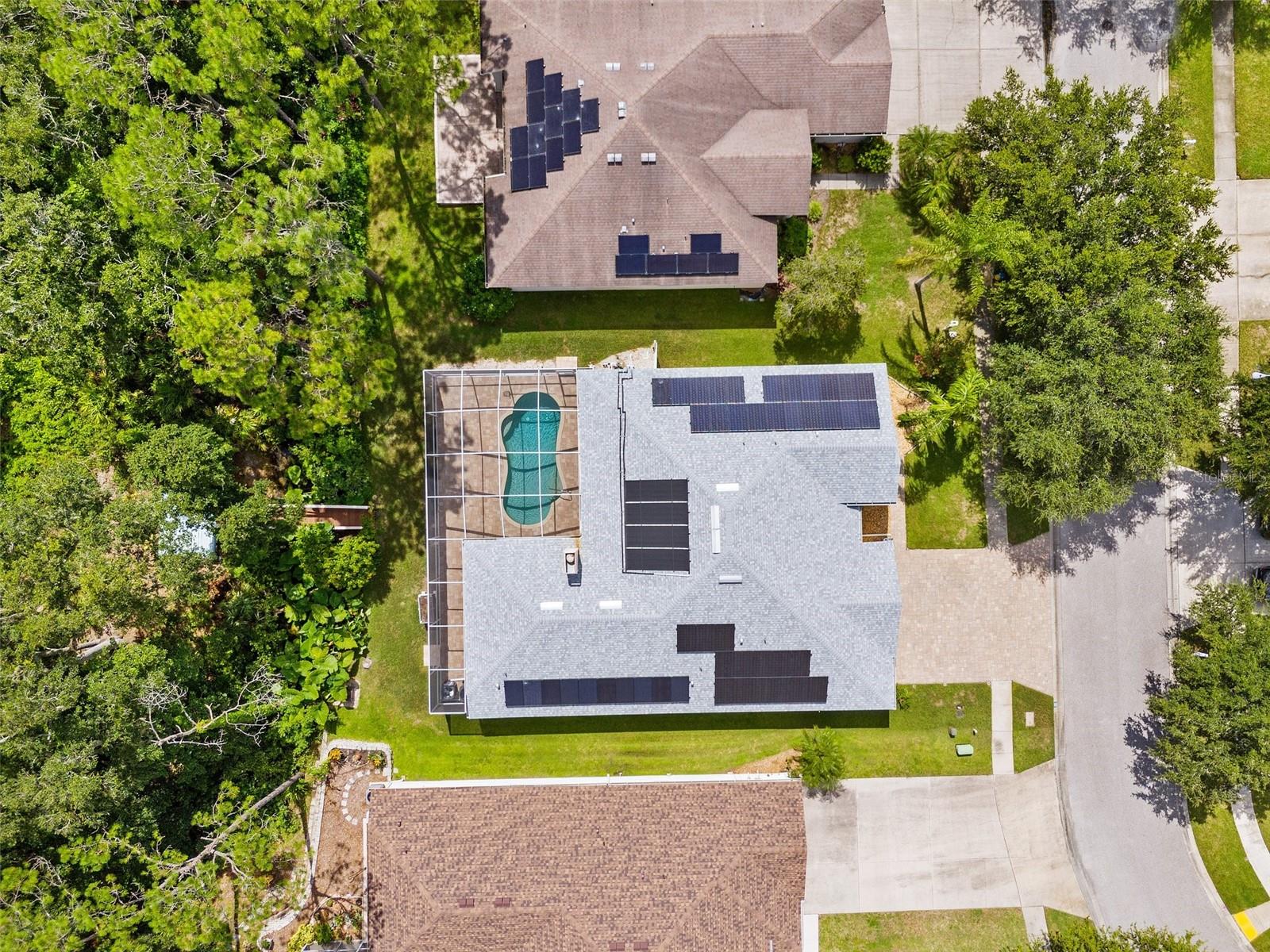 Photo 5 of 34838 ARBOR GREEN PL