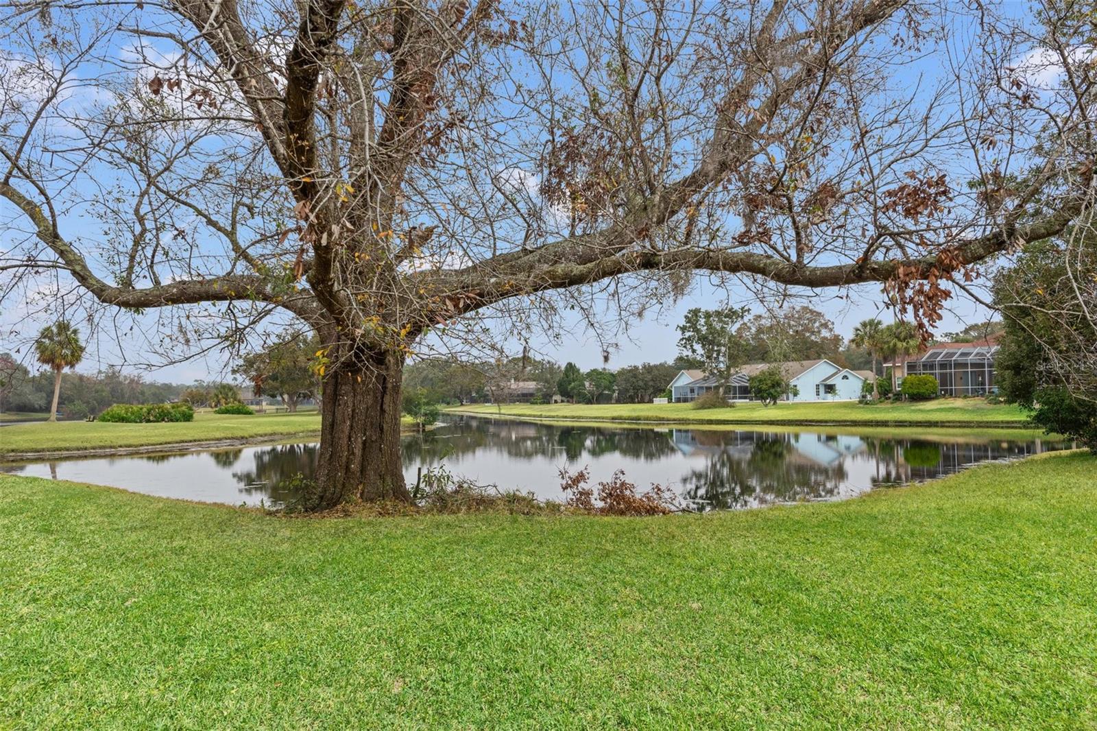 Photo 6 of 4412 LAKE IN THE WOODS DR