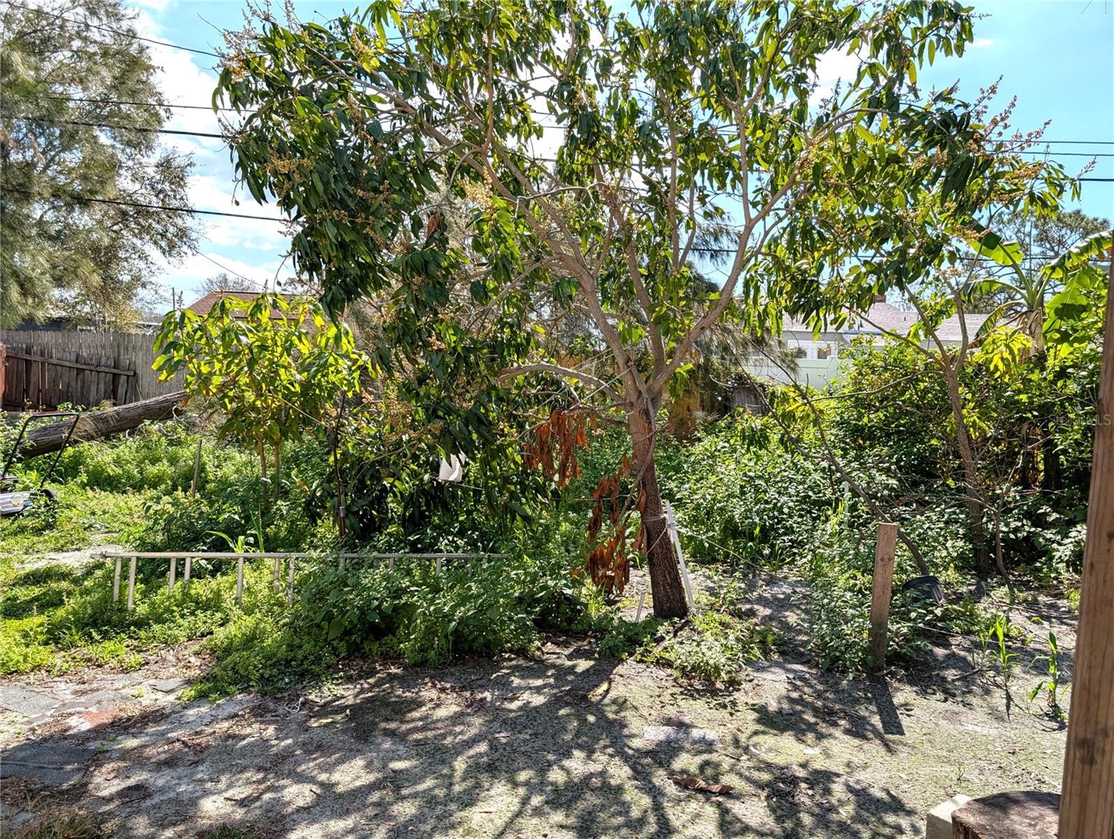 Photo 7 of 222 84TH AVE N